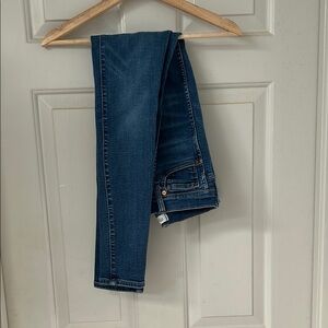 Madewell 10 inch High Rise Skinny Jeans Size 26